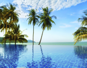 Porcelain or glass tile is the right choice for saline pools. Use a premium mortar that can withstand salt exposure and a chemical-resistant grout.