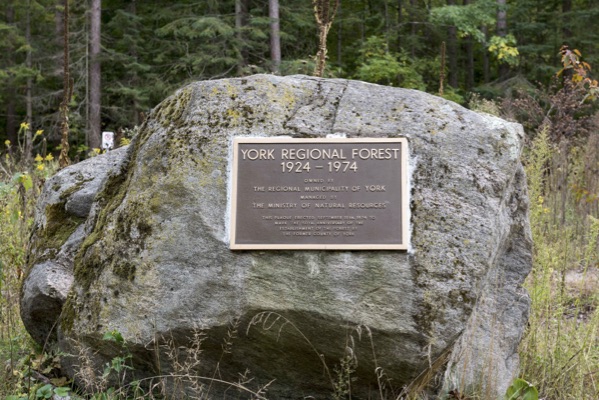 The regional municipality of York has made great strides in restoring the York Regional Forest, and the construction of the Bill Fisch FSEC adds that that exemplary environmental effort.